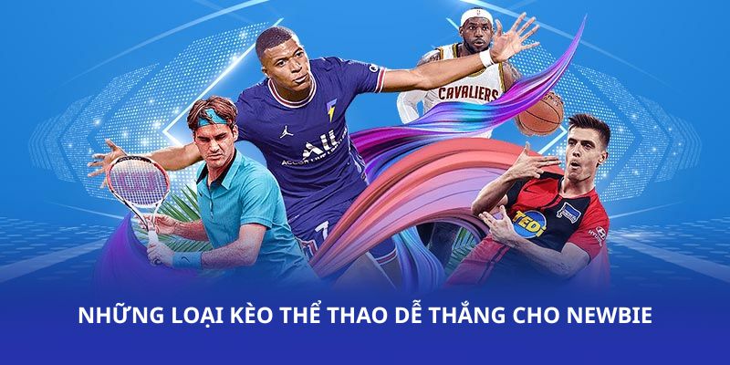 Những loại kèo thể thao thông dụng, dễ thắng cho newbie
